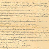 Original Bill of Rights Replica - Big 23" x 29" Parchment Poster