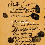 American Indian Declaration of Allegiance to the U.S. 1913